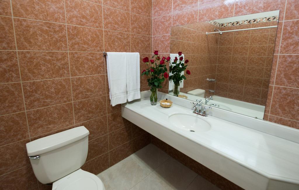 Omni Auto Hotel Guatemala City Room photo